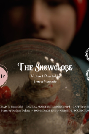 The snowglobe poster